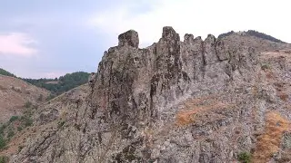 грилица1