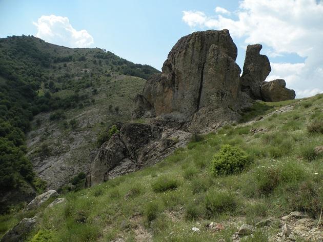 грилица4