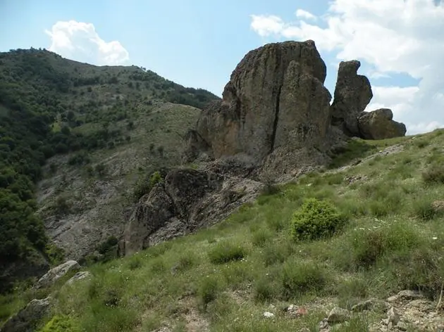грилица4