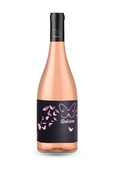 Rose Broad-leaved Melnik 2019